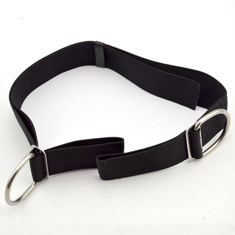루프가 있는 조절 가능한 테크 다이브 가랑이 스트랩 5 - Tech Gear Accessories 리뷰 및 가격